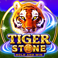 TIGER STONE