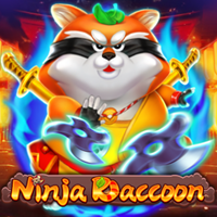 NINJA RACOON