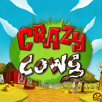 CRAZY COWS