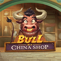 BULL IN A CHINA SHOP