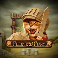 FELINE FURY