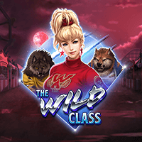 THE WILD CLASS