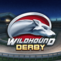 WILDHOUND DERBY