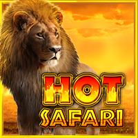 HOT SAFARI