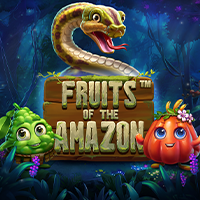 FRUITS OF THE AMAZON